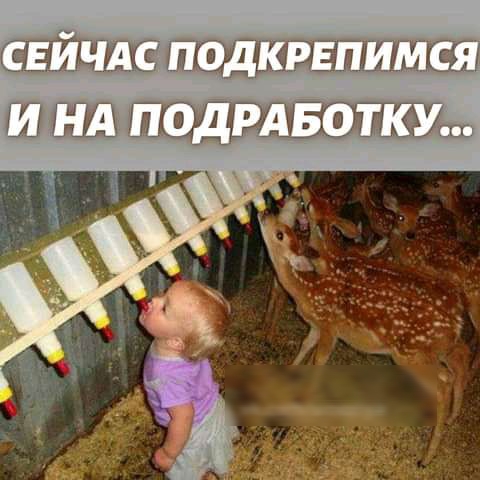 5ШЩПЭЕПШШЩЩШ1