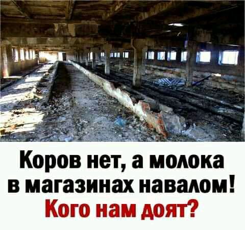 _ нет а молока в магазинах навалом Кого нам доят