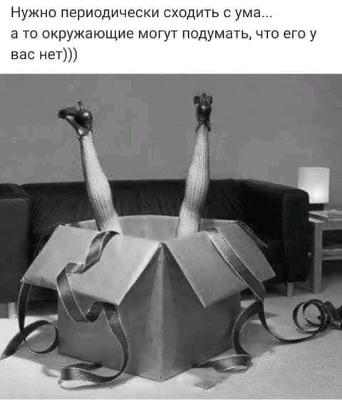 Нужно периодически сходить с ума а то окружающие могут подумать что его у вас нет