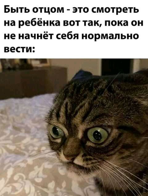 Быть отцом это смотреть на ребёнка вот так пока он не начнёт себя нормально вести