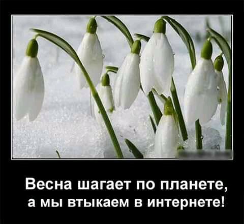 Весна шагает по планете а мы втыкаем В интернете