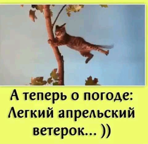 А теперь о погоде Аегкий апрельский ветерок