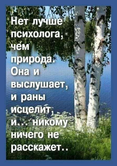 расскажет