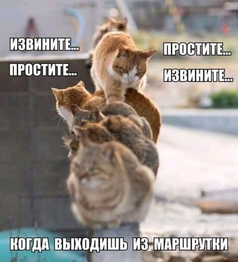 мдишь измпгшгшши