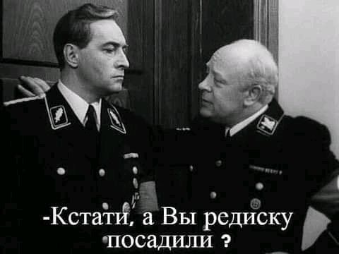 Кстагй аВы е посадит диску