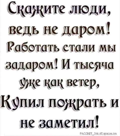 Скажите люди ведь не даром абэтать ста лм мы задаром И тысяча же как ветер купил пожрать и не заметил