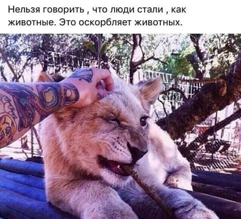 Нельзя говорить что люди стали как животные Это оскорбляет животных
