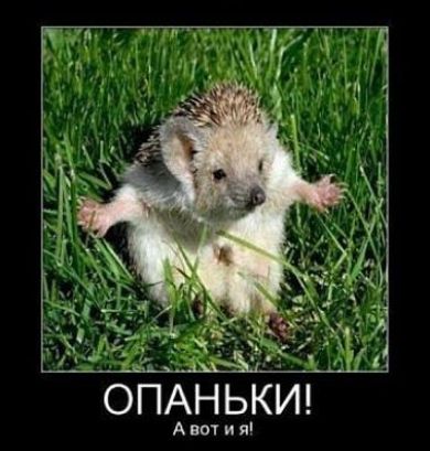 ОАНЬКИ Аютил