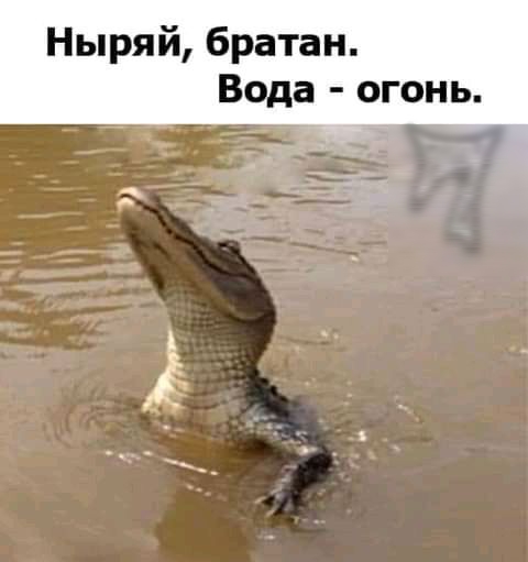 Ныряй братан Вода огонь