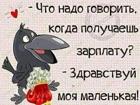 дд Что надо говорить когда пОпучаешь зарплату Здравствуй