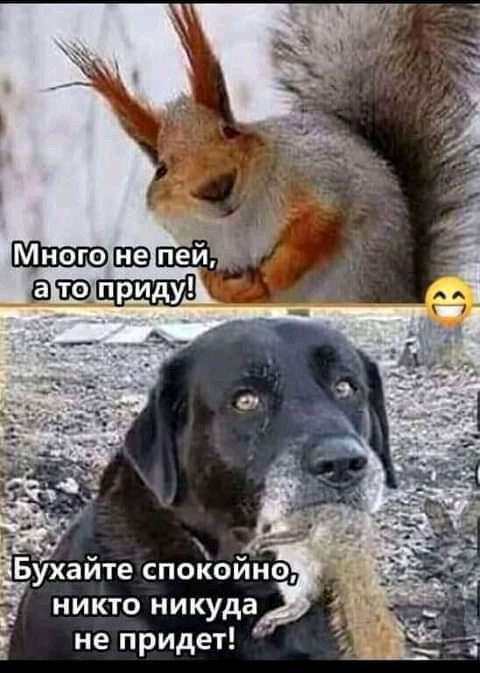 никто никуда не придет