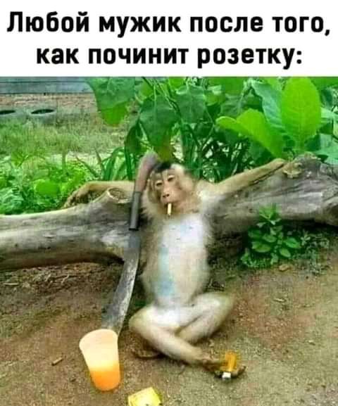 Любой мужик после того как починит розетку т эт в