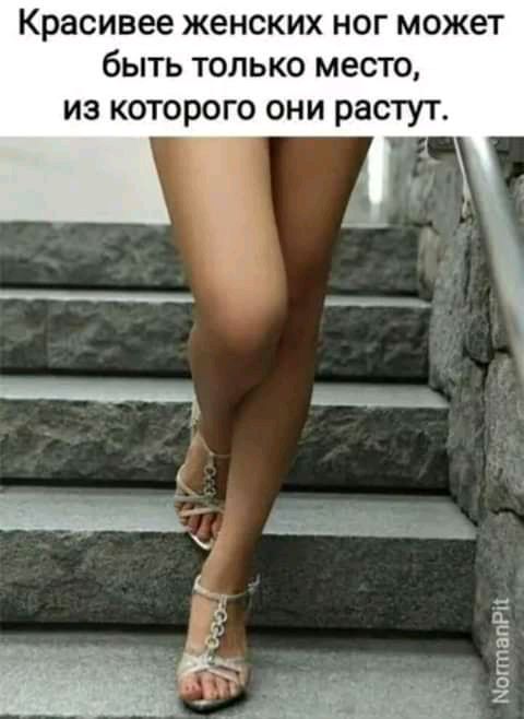 Красивее женских ног может быть только место из которого они растут МогтапРп