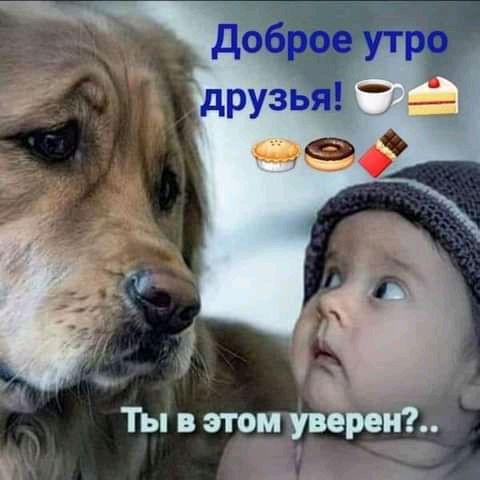 реп ты в этот уп