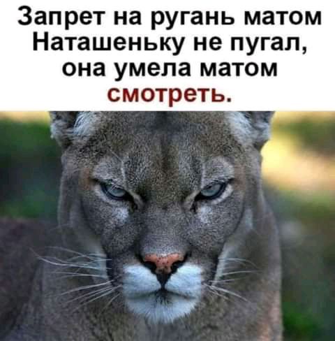 Запрет на ругань матом Наташеньку не пугал она умела матом смотреть