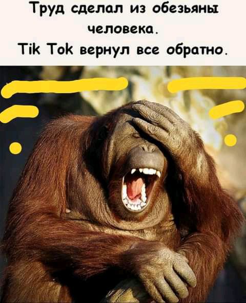 Труд сделал из обезьяны человека Тік Ток вернул все обратно