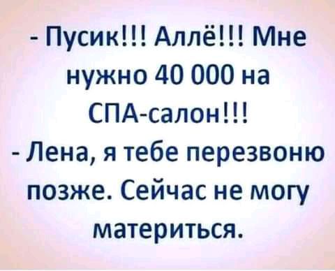 Пусик Аллё Мне нужно 40 000 на СПАсалон Лена я тебе перезвоню позже Сейчас не могу материться