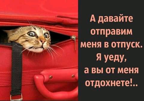 А давайте отправим Ч меня в отпуск Я уеду 54 а вы от меня отдохнете А