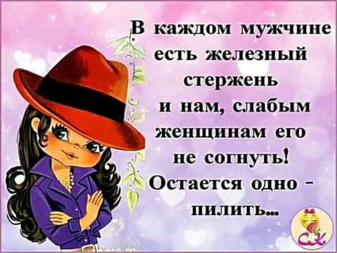 В каждом мужчине __ есть железный стержень и нам слабым женщинам его не согнуть Остается одно пилить