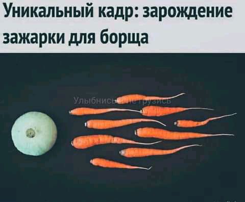Уникальный кадр зарождение зажарки для борща