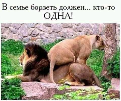 В семье борзеть домкен кто то ОДНА