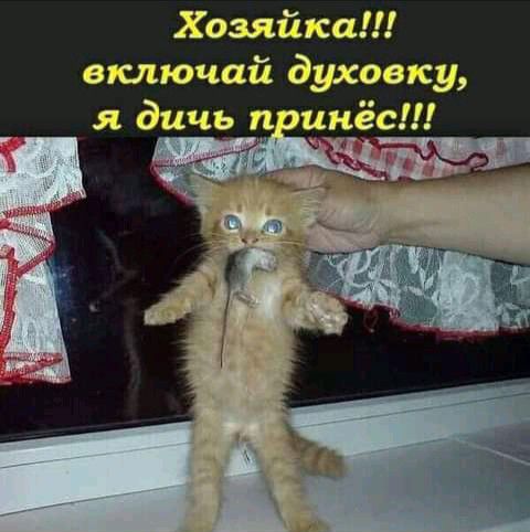 Хозяйка включай духовку я дичь лцнёс