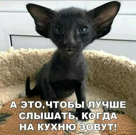А5ТО ЧТОЁЫЧЁУ ЧШЕ СЛЫШАТЬ К НА кух