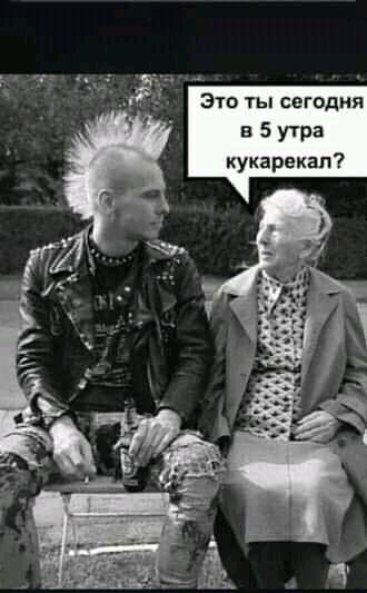 Это ты сегодня в 5 утра кукарекал