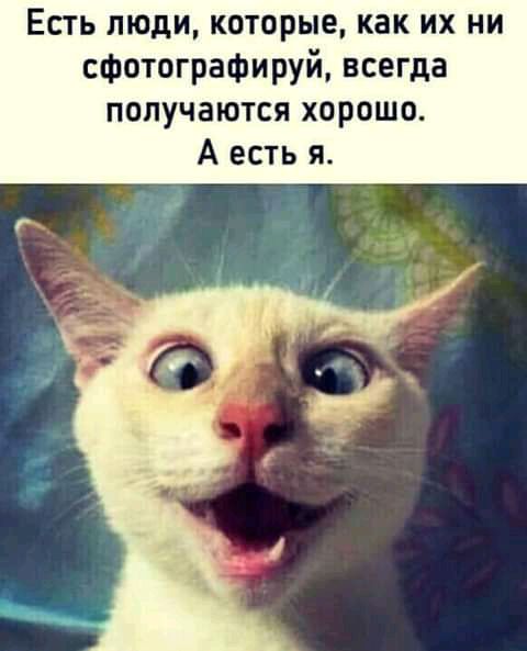 Есть люди которые как их ни сфотографируй всегда получаются хорошо А есть я