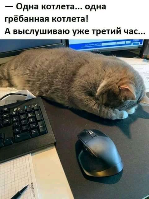 Одна котлета одна грёбанная котлета А выслушиваю уже третий час