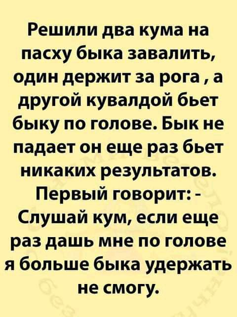 Решили два кума на пасху быка завалить один держит за рога а другой кувалдой бьет быку по голове Бык не падает он еще раз бьет ника ких результатов Первый говорит Слушай кум если еще раз дашь мне по голове я больше быка удержать не смогу