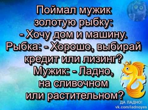 в кредит