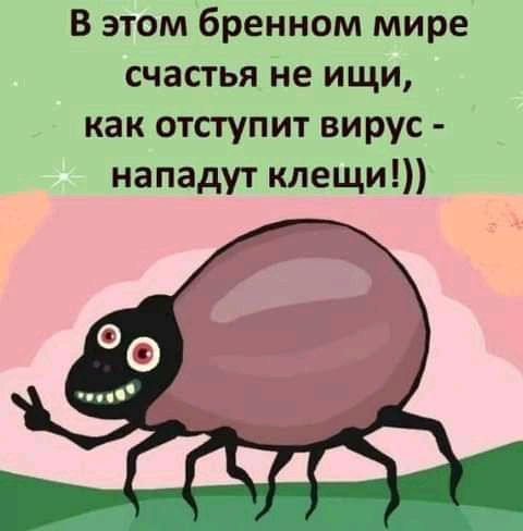 В этом бренном мире счастья не ищи как отступит вирус нападут клещи