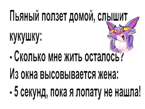 Пьяный попзет домой слышит кукушку Сколько мне жить осталось Из окна высовывается жена 5 секунд пока я лопату не нашла