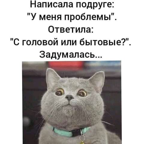 Написала подруге У меня проблемы Ответила С головой или бытовые Задумалась