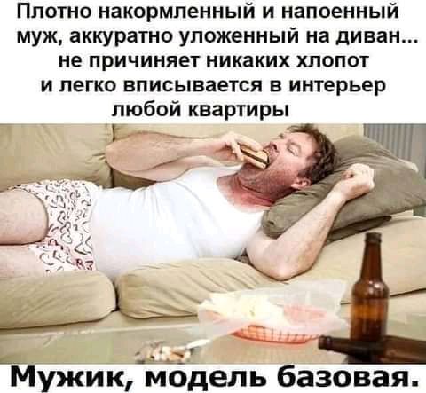 Плотно накормпенный и напоенный муж аккуратно уложенный на диван не причиняет никаких хлопот и легко вписывается в интерьер любой квартиры в 27 Мужик модель базовая