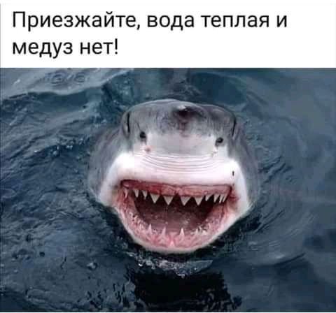Приезжайте вода теплая и медуз нет