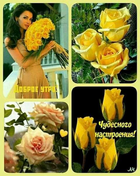 і Чудесноио ндстчоенил