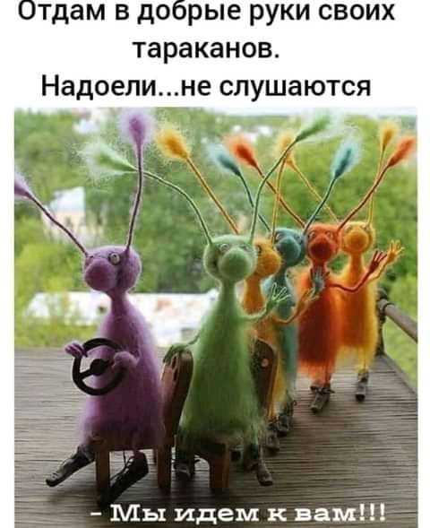 отдам в до рые руки своих тараканов Надоелине слушаются Мы идем к вам