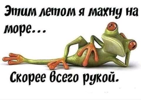 Этим летом я махну на Скореебо рукой