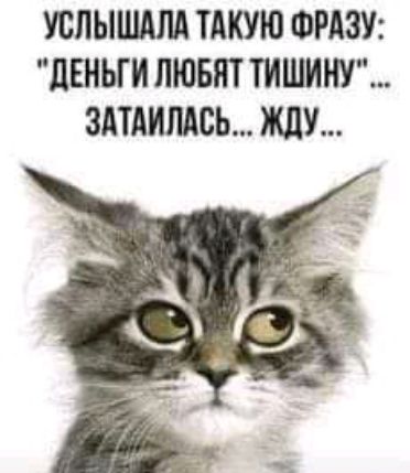 УВЛЫШМШ ТАКУЮ ФРАЗУ ЦЕНЫИ ЛЮБЯТ ТИШИНУ ЗАТАИМСЬ ЖДУ