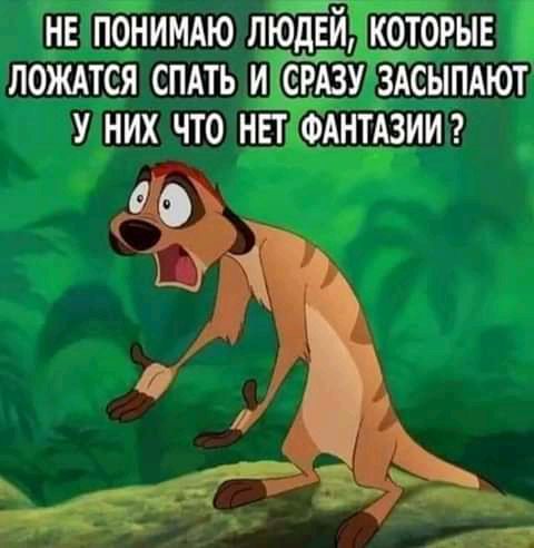 НЕ ПОНИМАЮ ЛЮДЕЙ КОТОРЫЕ ЛОЖАТСЯ СПАТЬ И СРАЗУ ЗАСЫПАЮТ У НИХ ЧТО НЕТ ФАНТАЗИИ О