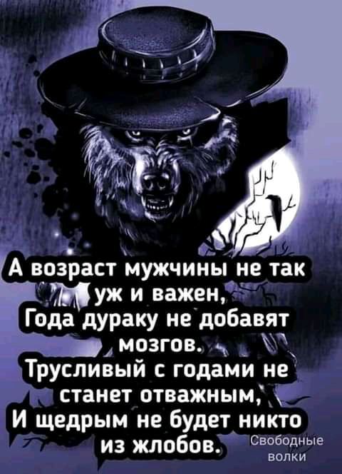 А возраст мужчины не так Муж и важен Года дураку недобавят мозгов _ ЪпТрусливый с годами не станет отважнымж И щедрым не будетАникто из жлобов Свободные волки