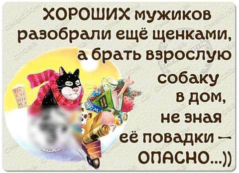 ХОРОШИХ мужиков разобрали ещё щенками а брать взрослую _ собаку в дом не зная её повадки _ ___0_ПНС_Н0