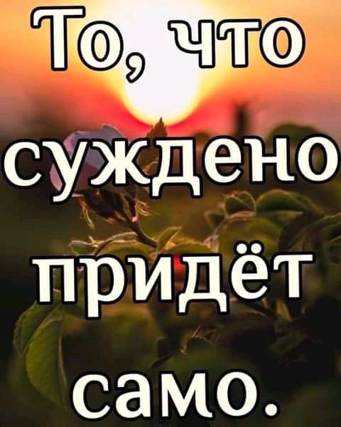 ТФ ю суждено придёт само