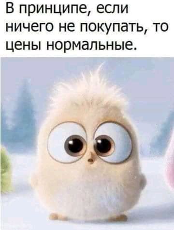 В принципе если ничего не покупать то цены нормальные за