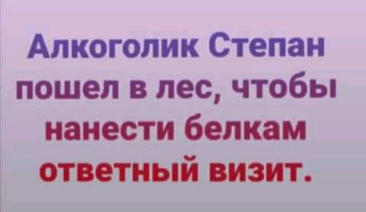 Алкоголик Степан пошел в лес чтобы нанести белкам ответный визит