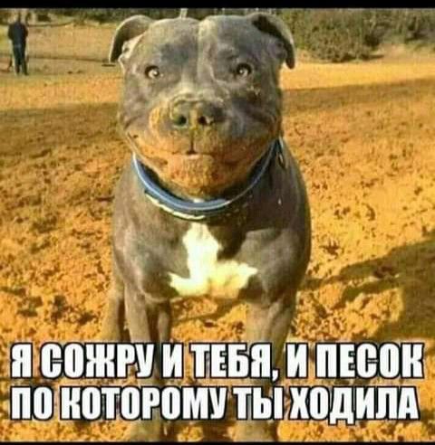 Й ЕШЙРУ ЙЙТЕБЙ Й ПЁЕПЙ ПЩЙПТВРВМУ ТЫ ХЦПЙПА