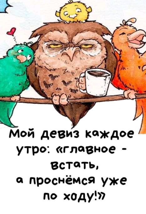 Мой девиз кождо утро: «гловное  встоть, е проснёмся уже по ходу'»