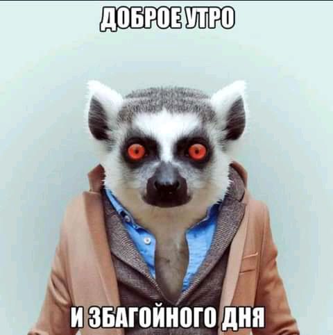 звдюйиіпп дип _